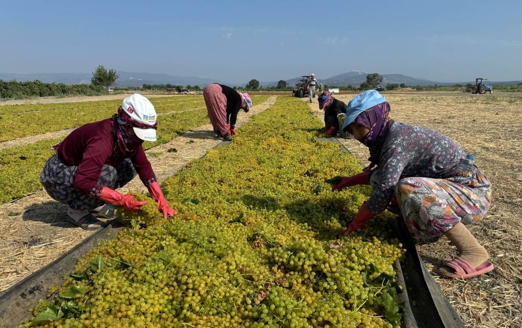 12 aylık emeğin sonuna gelindi: 500 milyon dolar gelir bekleniyor 4